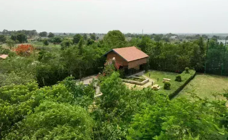 MIYAWAKI: మియావాకి ఫారెస్ట్‌ను విస్తరిస్తున్న రియల్టీ కంపెనీ