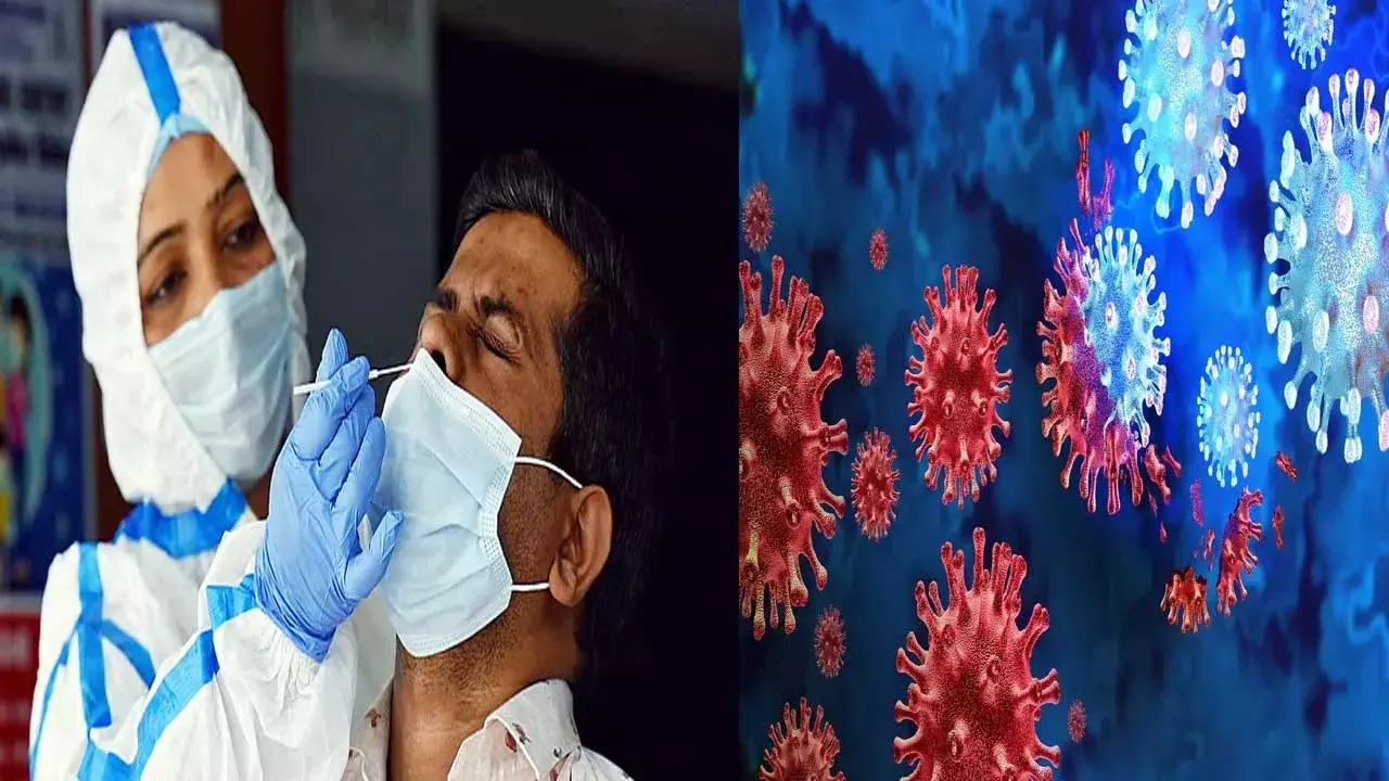 Corona : కరోనా కలకలం .. 24 గంటల్లో 564 కొత్త కేసులు Corona : కరోనా కలకలం .. 24 గంటల్లో 564 కొత్త కేసులు