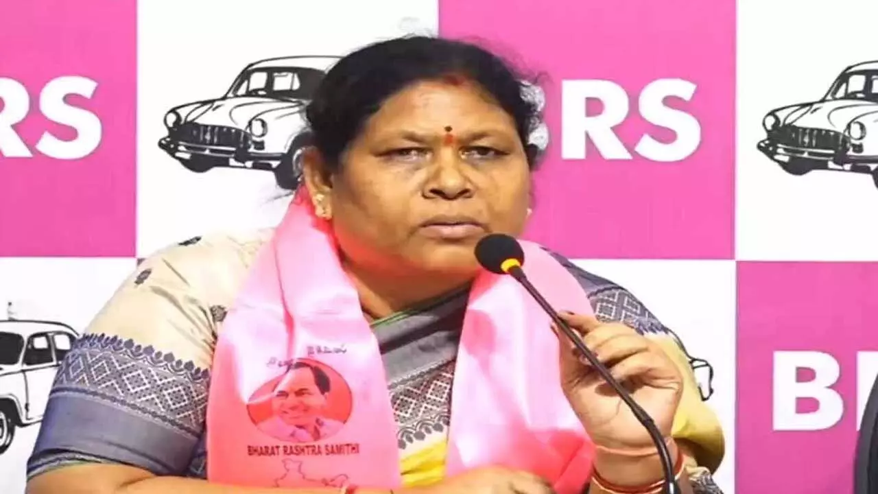 MLA Kova Lakshmi : అధికారులు ప్రోటోకాల్ పాటించడం లేదు : ఎమ్మెల్యే కోవా లక్ష్మి MLA Kova Lakshmi : అధికారులు ప్రోటోకాల్ పాటించడం లేదు : ఎమ్మెల్యే కోవా లక్ష్మి