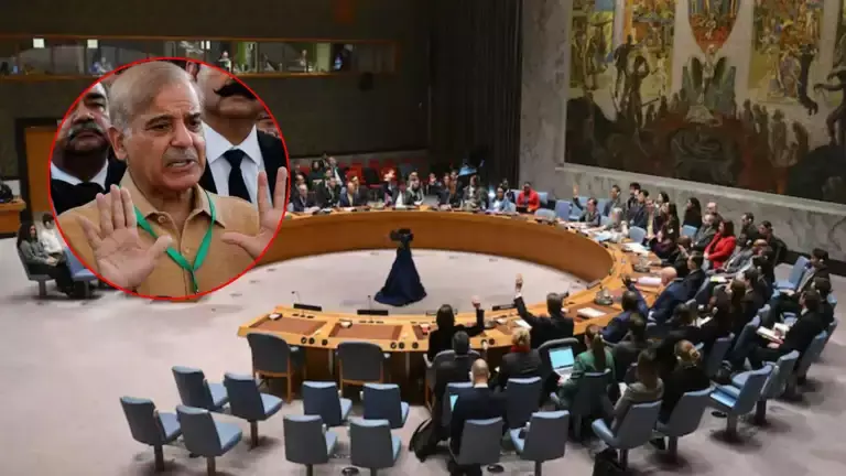 Pakistan: భద్రతా మండలిలో పాక్‌ మంకుపట్టు..