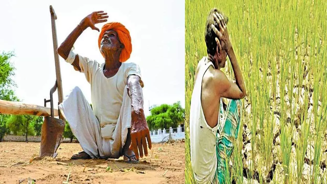 Telangana : మృగశిరలో ముఖం చాటేసిన వానలు Telangana : మృగశిరలో ముఖం చాటేసిన వానలు