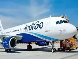 Indigo flight: తెరుచుకోని ఇండిగో విమానం తలుపులు, ఆందోళనకు గురయిన ప్రయాణికులు
