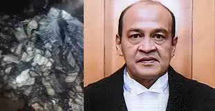 judge cash row: జస్టిస్ వర్మ ఇంట్లో నోట్ల గుట్టలు నిజమే- నిర్ధారించిన త్రిసభ్య   కమిటీ judge cash row: జస్టిస్ వర్మ ఇంట్లో నోట్ల గుట్టలు నిజమే- నిర్ధారించిన త్రిసభ్య   కమిటీ