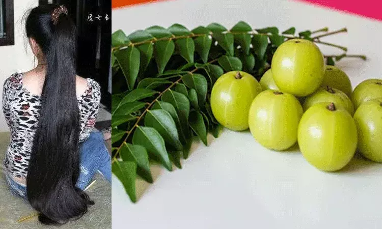 నల్లటి పొడవాటి జుట్టు కోసం.. కరివేపాకు, ఉసిరి కలిపి పెట్టుకుంటే..