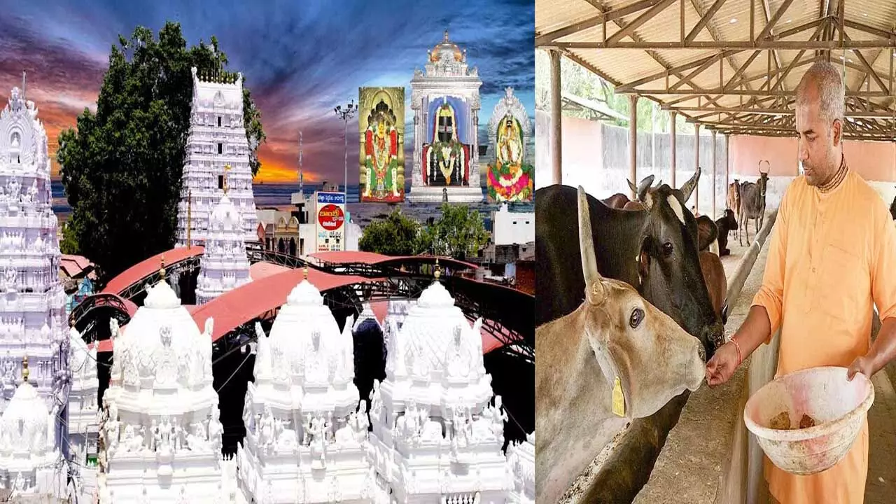 Vemulawada Temple : వేములవాడలో ఆధునిక గోశాలను ఏర్పాటు చేయండి Vemulawada Temple : వేములవాడలో ఆధునిక గోశాలను ఏర్పాటు చేయండి
