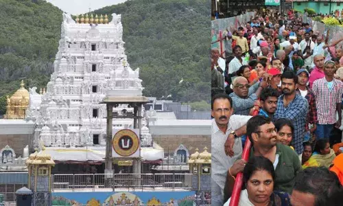 TTD : తిరుమలలో భక్తుల రద్దీ .. శ్రీవారి సర్వదర్శనానికి 20 గంటలు
