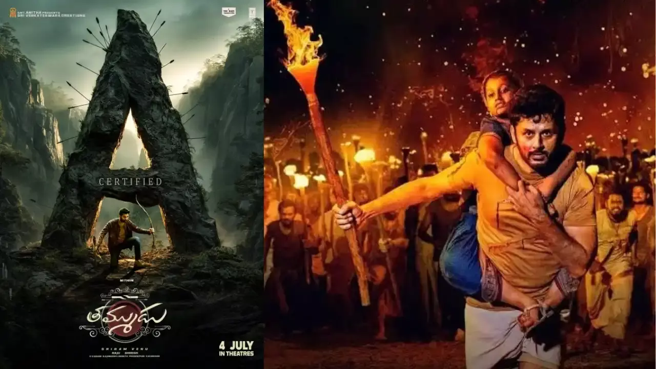 Nithiins Thammudu :  తమ్ముడు పెద్దలకు మాత్రమేనా..?