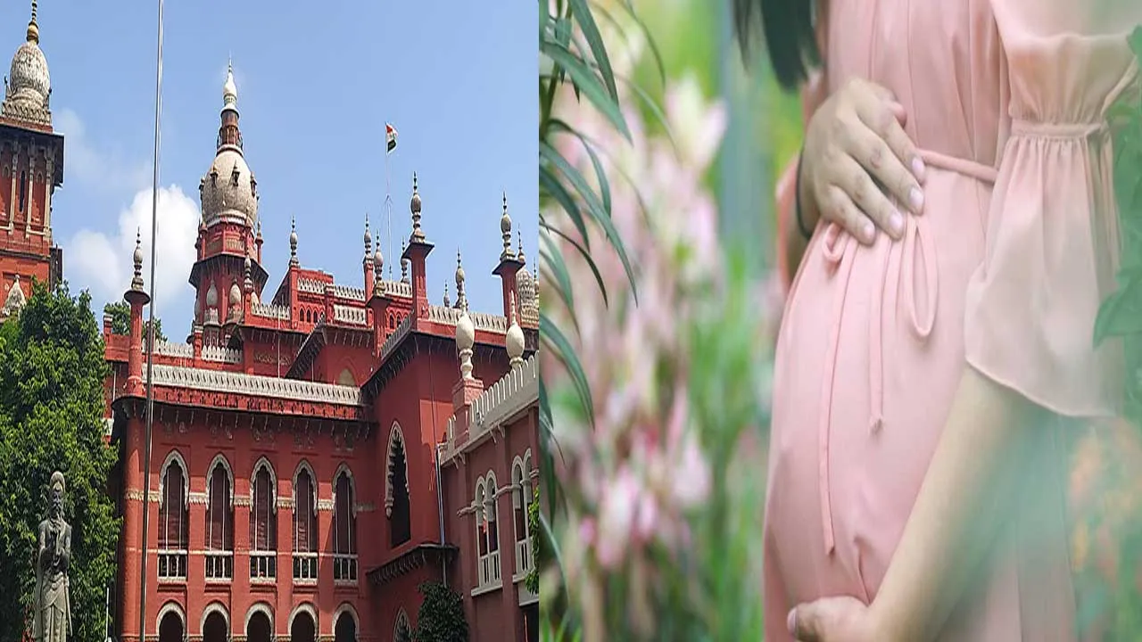 Madras High Court : మెటర్నిటీ లీవ్ మహిళా ఉద్యోగుల హక్కు : మద్రాస్ హైకోర్టు Madras High Court : మెటర్నిటీ లీవ్ మహిళా ఉద్యోగుల హక్కు : మద్రాస్ హైకోర్టు