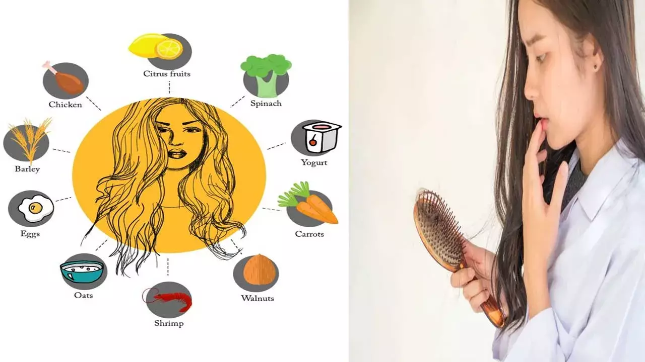 Hair Fall : జుట్టు రాలడాన్ని తగ్గించే ఆహారాలు ఇవే.. Hair Fall : జుట్టు రాలడాన్ని తగ్గించే ఆహారాలు ఇవే..