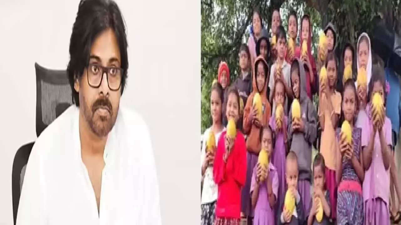 Pawan Kalyan : పవన్ గొప్ప మనసు.. గిరిజనులకు తన తోటలో పండిన పండ్లు.. Pawan Kalyan : పవన్ గొప్ప మనసు.. గిరిజనులకు తన తోటలో పండిన పండ్లు..