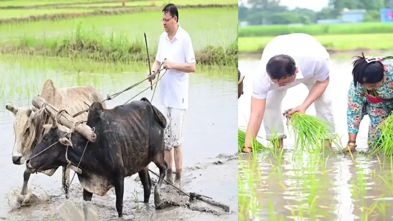 Uttarakhand : పొలంలో మహర్షి... నాగలి పట్టి దుక్కి దున్నిన సీఎం Uttarakhand : పొలంలో మహర్షి... నాగలి పట్టి దుక్కి దున్నిన సీఎం