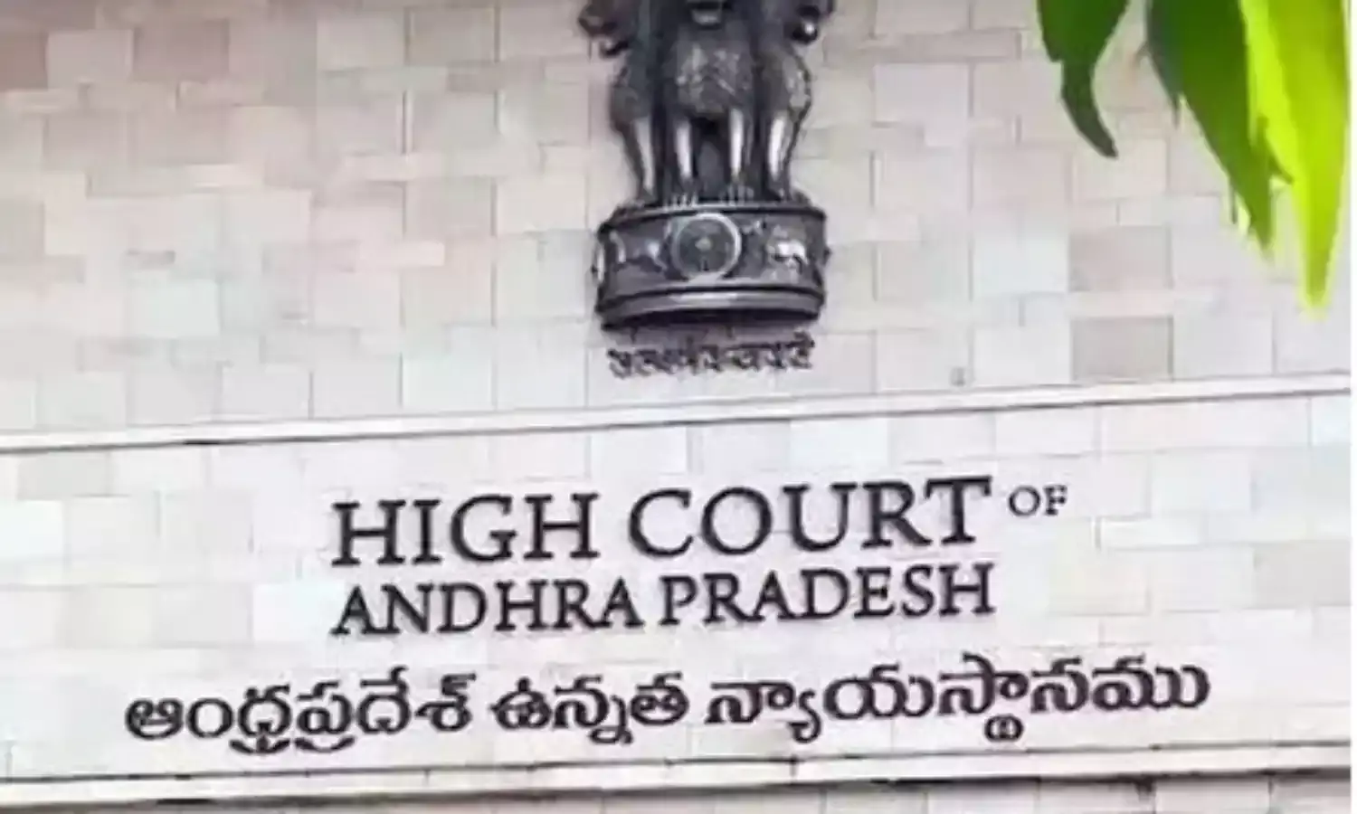 ap: సోషల్ మీడియా కేసులు.. హైకోర్టు వార్నింగ్ ap: సోషల్ మీడియా కేసులు.. హైకోర్టు వార్నింగ్