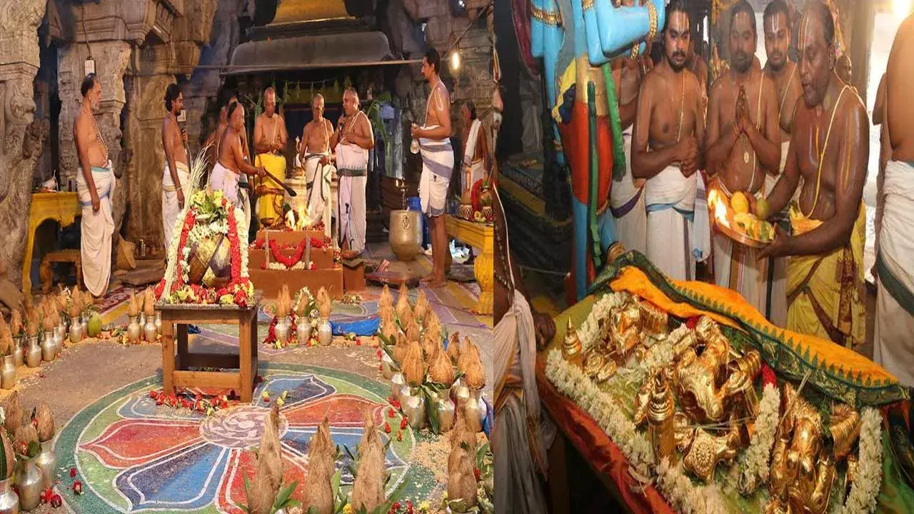 Tirupati : తిరుపతిలో వైభవంగా జ్యేష్ఠాభిషేకం ఉత్సవాలు ప్రారంభం Tirupati : తిరుపతిలో వైభవంగా జ్యేష్ఠాభిషేకం ఉత్సవాలు ప్రారంభం
