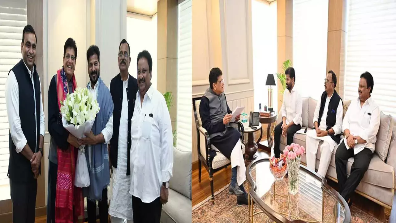 TG : జహీరాబాద్ ఇండ‌స్ట్రియ‌ల్ సిటీ అభివృద్ధికి సహకరించండి.. కేంద్రమంత్రికి రేవంత్ రిక్వెస్ట్