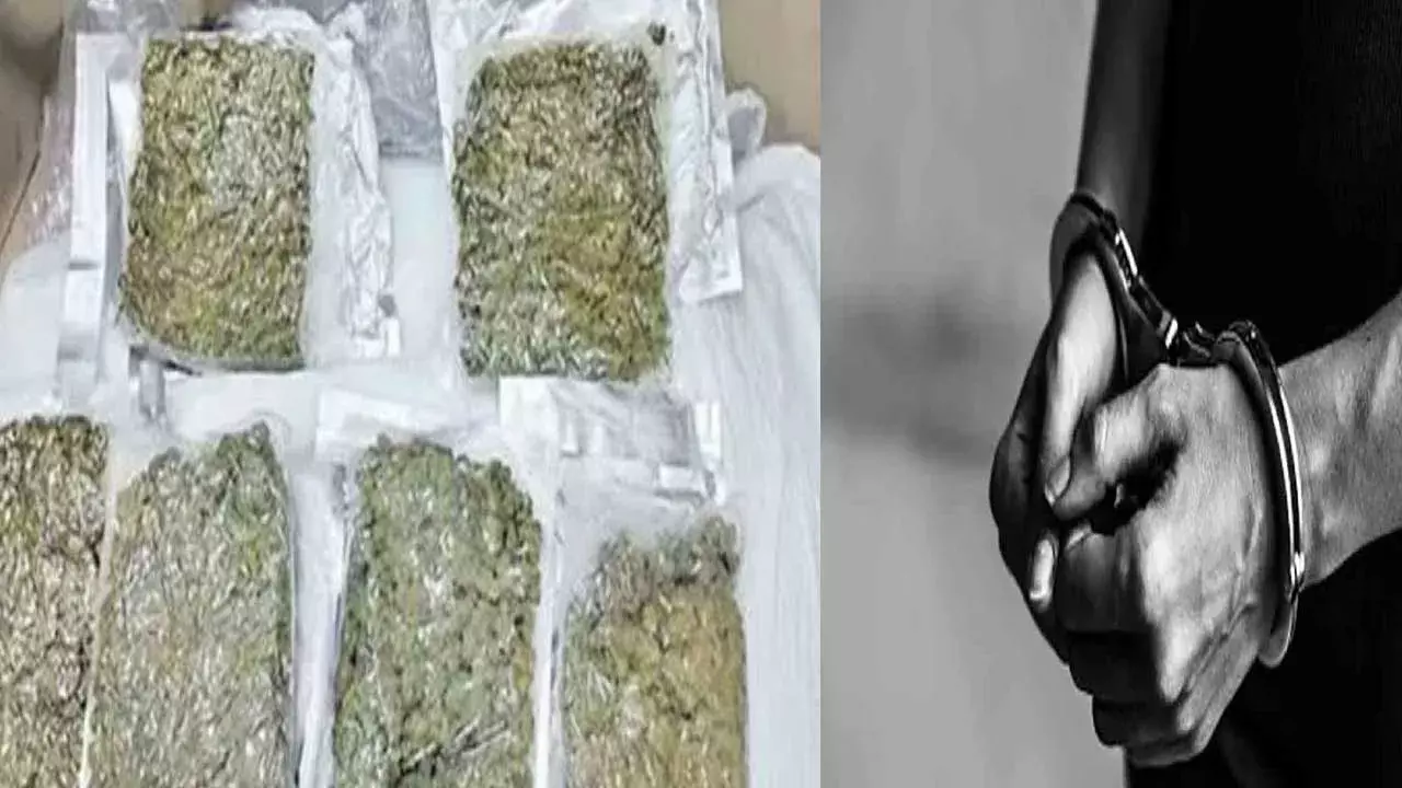 karnataka : పది మంది గంజాయి ముఠా అరెస్ట్ ..1.709 కిలోల గంజాయి స్వాధీనం