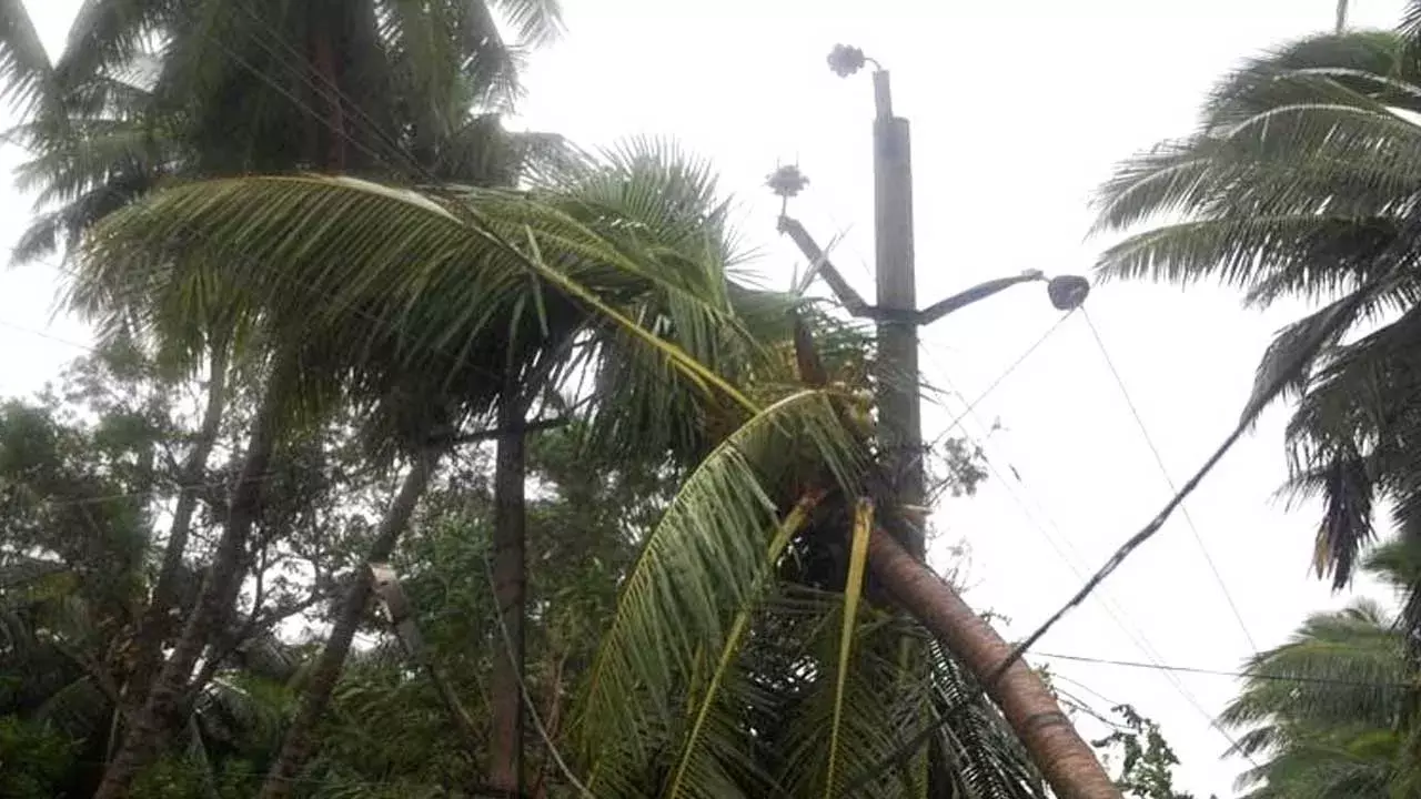 Konaseema District : హైటెన్షన్ వైర్లపై కొబ్బరిచెట్టు పడి విద్యుత్ సరఫరాకు తీవ్ర అంతరాయం Konaseema District : హైటెన్షన్ వైర్లపై కొబ్బరిచెట్టు పడి విద్యుత్ సరఫరాకు తీవ్ర అంతరాయం