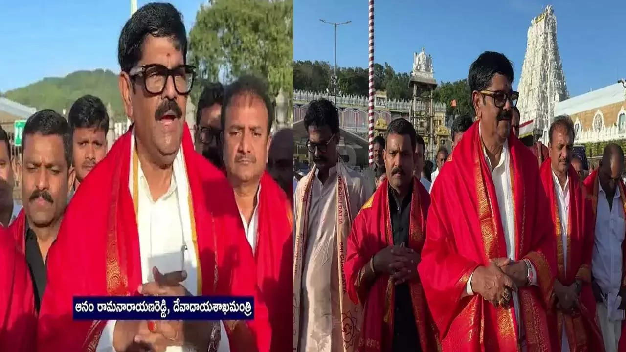 AP Minister : తిరుమల శ్రీవారిని దర్శించుకున్న ఏపీ మంత్రి ఆనం రామనారాయణరెడ్డి
