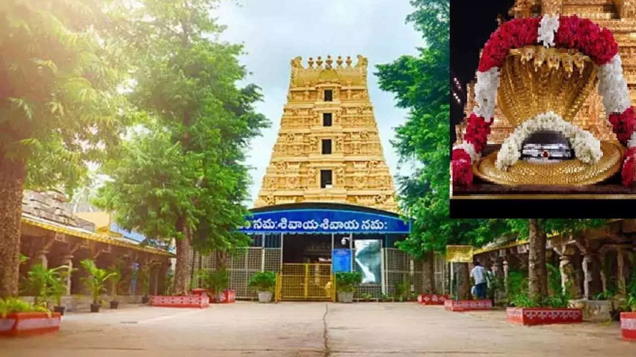 Srisailam : శ్రీశైలం మల్లన్న భక్తులకు బిగ్ అలర్ట్ .. ఉచిత స్పర్శదర్శనం రద్దు Srisailam : శ్రీశైలం మల్లన్న భక్తులకు బిగ్ అలర్ట్ .. ఉచిత స్పర్శదర్శనం రద్దు