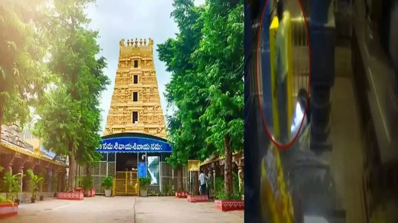 Srisailam Temple : శ్రీశైలం ఆలయంలో చోరీ.. హుండీ సొమ్మును కాజేసిన ఉద్యోగి.. Srisailam Temple : శ్రీశైలం ఆలయంలో చోరీ.. హుండీ సొమ్మును కాజేసిన ఉద్యోగి..
