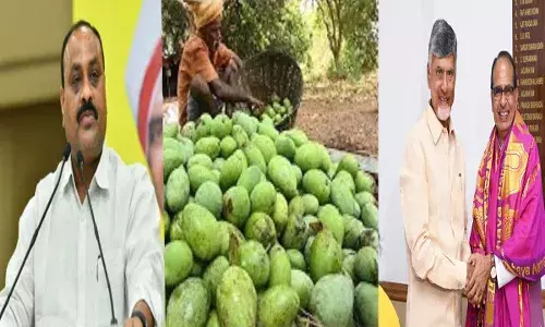 AP : మామిడి రైతులకు సబ్సిడీ.. సీఎం, కేంద్రమంత్రికి అచ్చెన్నాయుడు థ్యాంక్స్