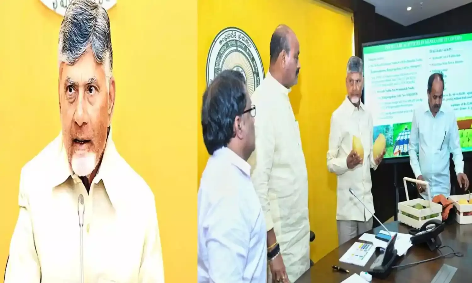 CM Chandrababu : వ్యవసాయంపై సీఎం చంద్రబాబు సమీక్ష CM Chandrababu : వ్యవసాయంపై సీఎం చంద్రబాబు సమీక్ష