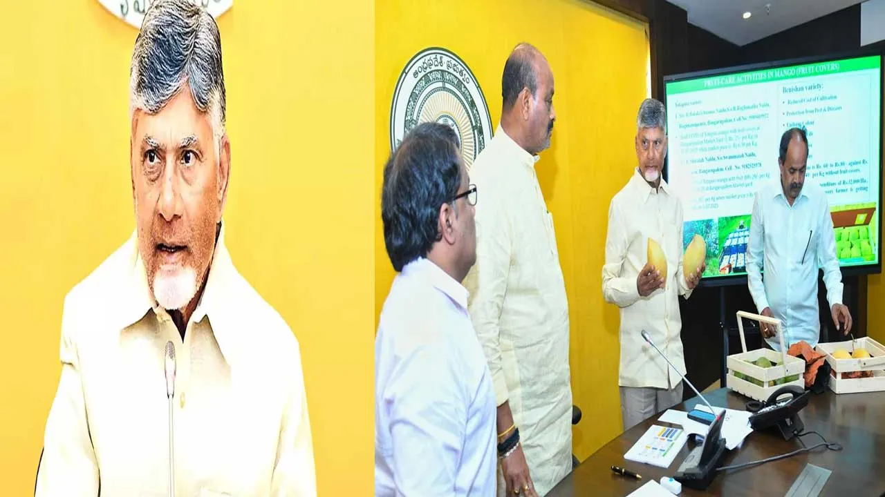 CM Chandrababu : వ్యవసాయంపై సీఎం చంద్రబాబు సమీక్ష CM Chandrababu : వ్యవసాయంపై సీఎం చంద్రబాబు సమీక్ష