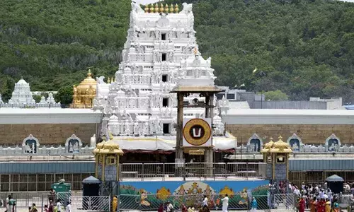 TTD : తిరుమలలో తగ్గిన భక్తుల రద్దీ.. స్వామి దర్శనానికి 8గంటల సమయం