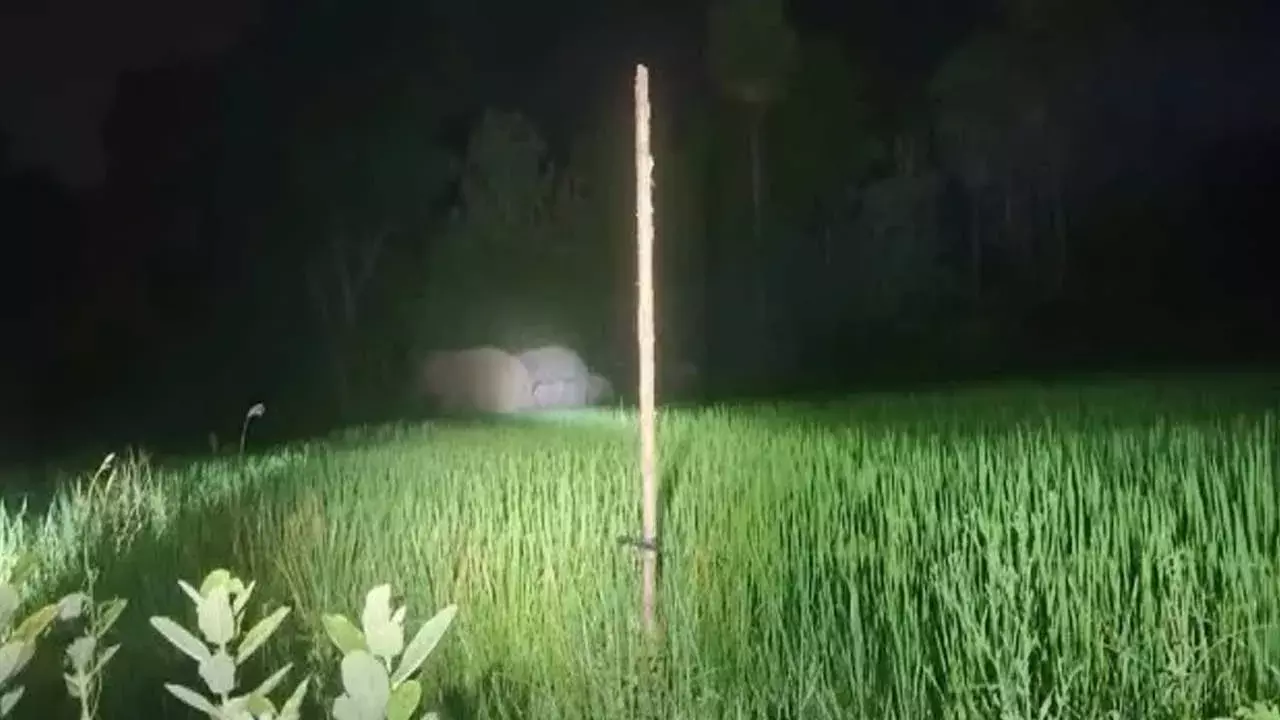 Tirupathi : శ్రీవారి మెట్టు మార్గంలో ఏనుగులు.. అప్రమత్తమైన అధికారులు Tirupathi : శ్రీవారి మెట్టు మార్గంలో ఏనుగులు.. అప్రమత్తమైన అధికారులు