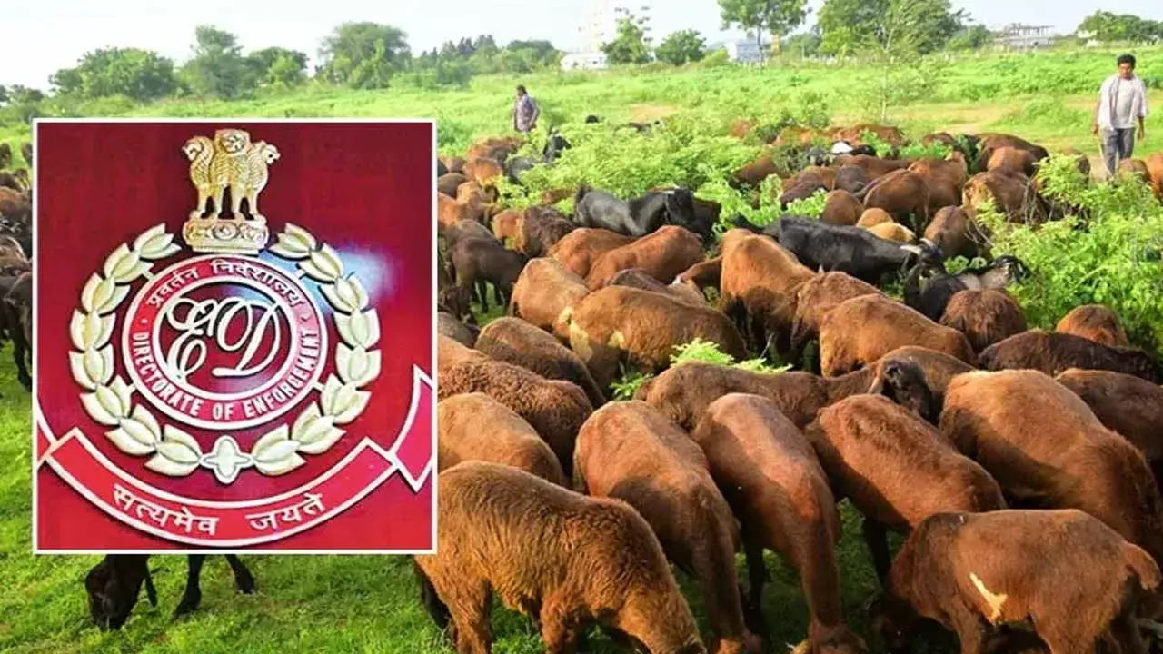 Telangana : గొర్రెల పంపిణీ కేసులో ఈడీ దర్యాప్తు ముమ్మరం.. Telangana : గొర్రెల పంపిణీ కేసులో ఈడీ దర్యాప్తు ముమ్మరం..