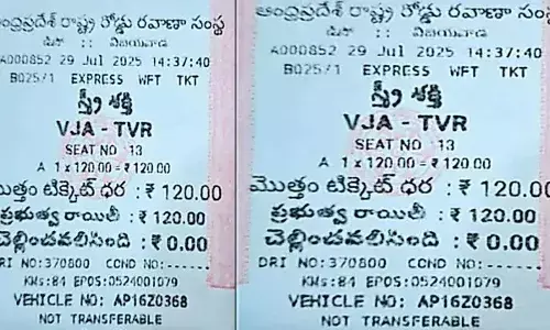 Andhra Pradesh : ఏపీలో ఫ్రీ బస్సు స్కీమ్.. నమూన టికెట్ వైరల్
