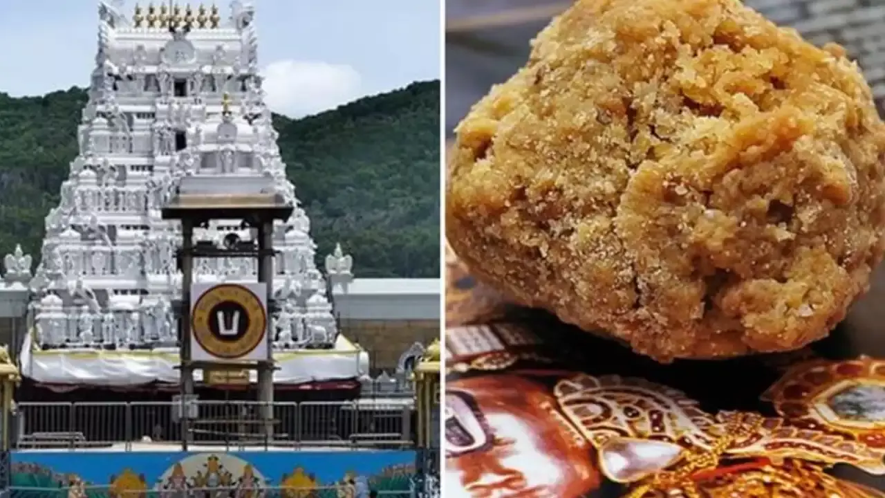 Tirumala : తిరుమల లడ్డుకు 310 సంవత్సరాలు Tirumala : తిరుమల లడ్డుకు 310 సంవత్సరాలు