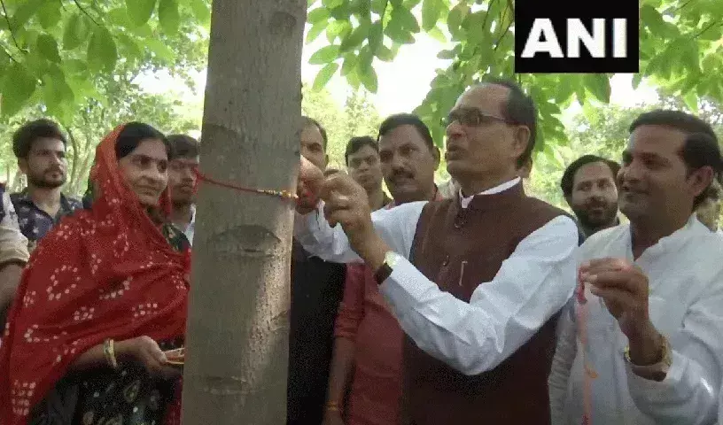 Shivraj Singh Chouhan: చెట్టుకు రాఖీ కట్టిన కేంద్ర మంత్రి శివరాజ్.. Shivraj Singh Chouhan: చెట్టుకు రాఖీ కట్టిన కేంద్ర మంత్రి శివరాజ్..