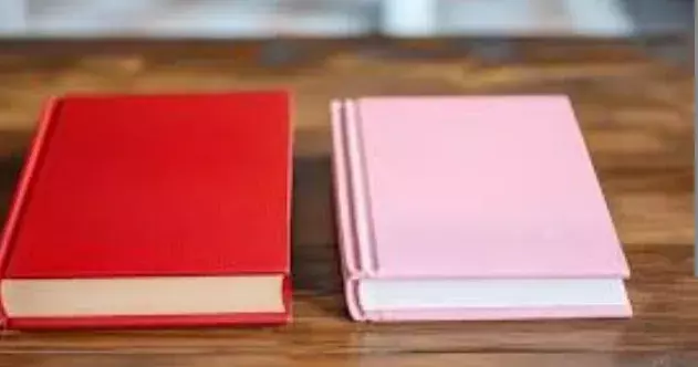PINK BOOK: పింక్‌ బుక్‌ సిద్ధమవుతోందా..?