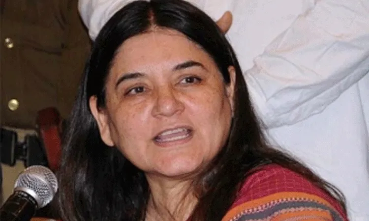 వీధి కుక్కలపై సుప్రీం తీర్పును విమర్శించిన మేనక.. పర్యావరణానికి హానికరమంటూ.. వీధి కుక్కలపై సుప్రీం తీర్పును విమర్శించిన మేనక.. పర్యావరణానికి హానికరమంటూ..