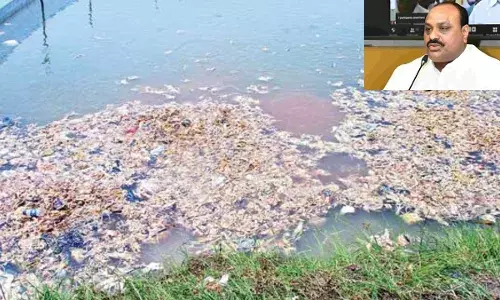 AP : చేపల చెరువుల్లో చికెన్ వ్యర్థాలు వేస్తే కఠిన చర్యలు : మంత్రి అచ్చెన్నాయుడు