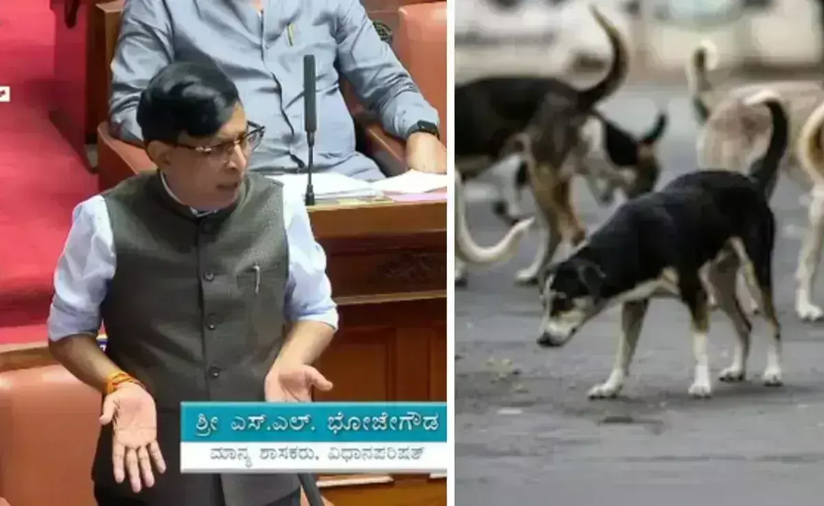 Karnataka : 2,800 వీధి కుక్కలను చంపించా,  జైలుకు వెళ్లేందుకు సిద్ధం!: కర్ణాటక ఎమ్మెల్సీ సంచలన వ్యాఖ్యలు Karnataka : 2,800 వీధి కుక్కలను చంపించా,  జైలుకు వెళ్లేందుకు సిద్ధం!: కర్ణాటక ఎమ్మెల్సీ సంచలన వ్యాఖ్యలు