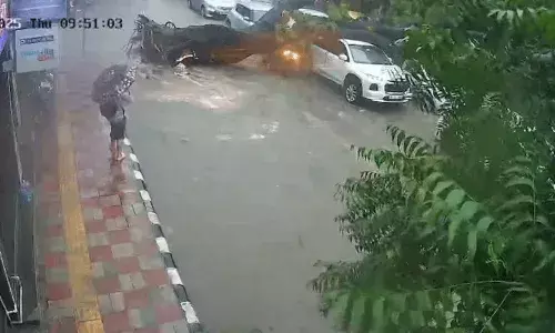 Delhi Rains: భారీ వర్షాలు.. చెట్టు కూలి బైకర్ మృతి