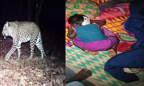 Leopard Attacks : శ్రీశైలం సమీపంలో చిన్నారిపై చిరుత దాడి Leopard Attacks : శ్రీశైలం సమీపంలో చిన్నారిపై చిరుత దాడి