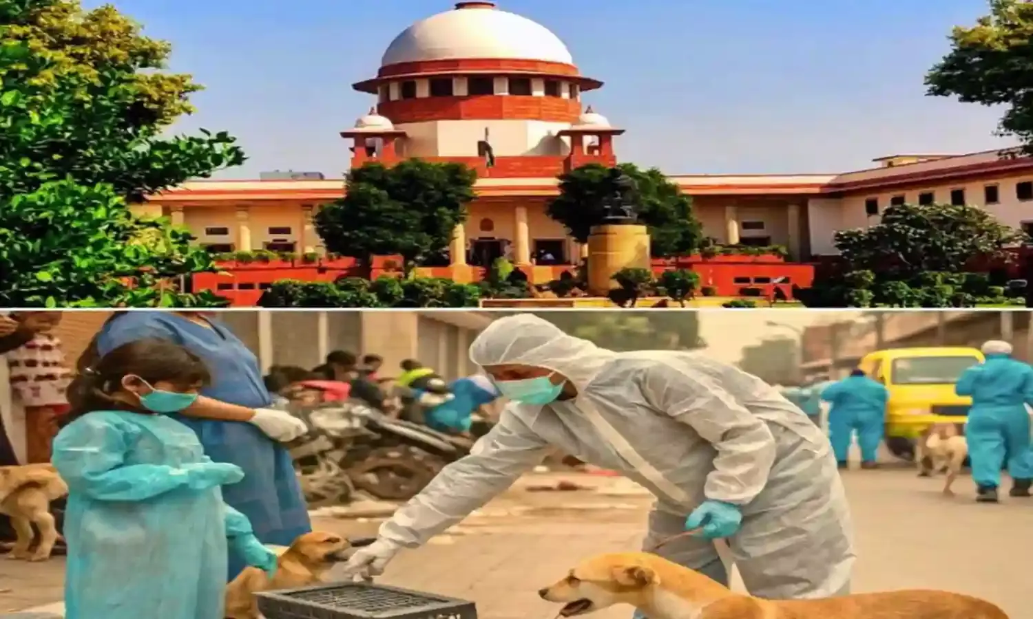 Supreme Court : వీధి కుక్కల ఇష్యూపై సుప్రీం కీలక తీర్పు.. Supreme Court : వీధి కుక్కల ఇష్యూపై సుప్రీం కీలక తీర్పు..