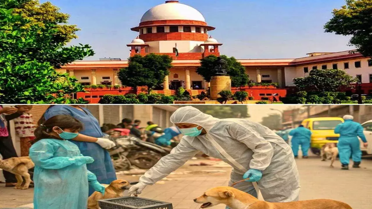 Supreme Court : వీధి కుక్కల ఇష్యూపై సుప్రీం కీలక తీర్పు.. Supreme Court : వీధి కుక్కల ఇష్యూపై సుప్రీం కీలక తీర్పు..