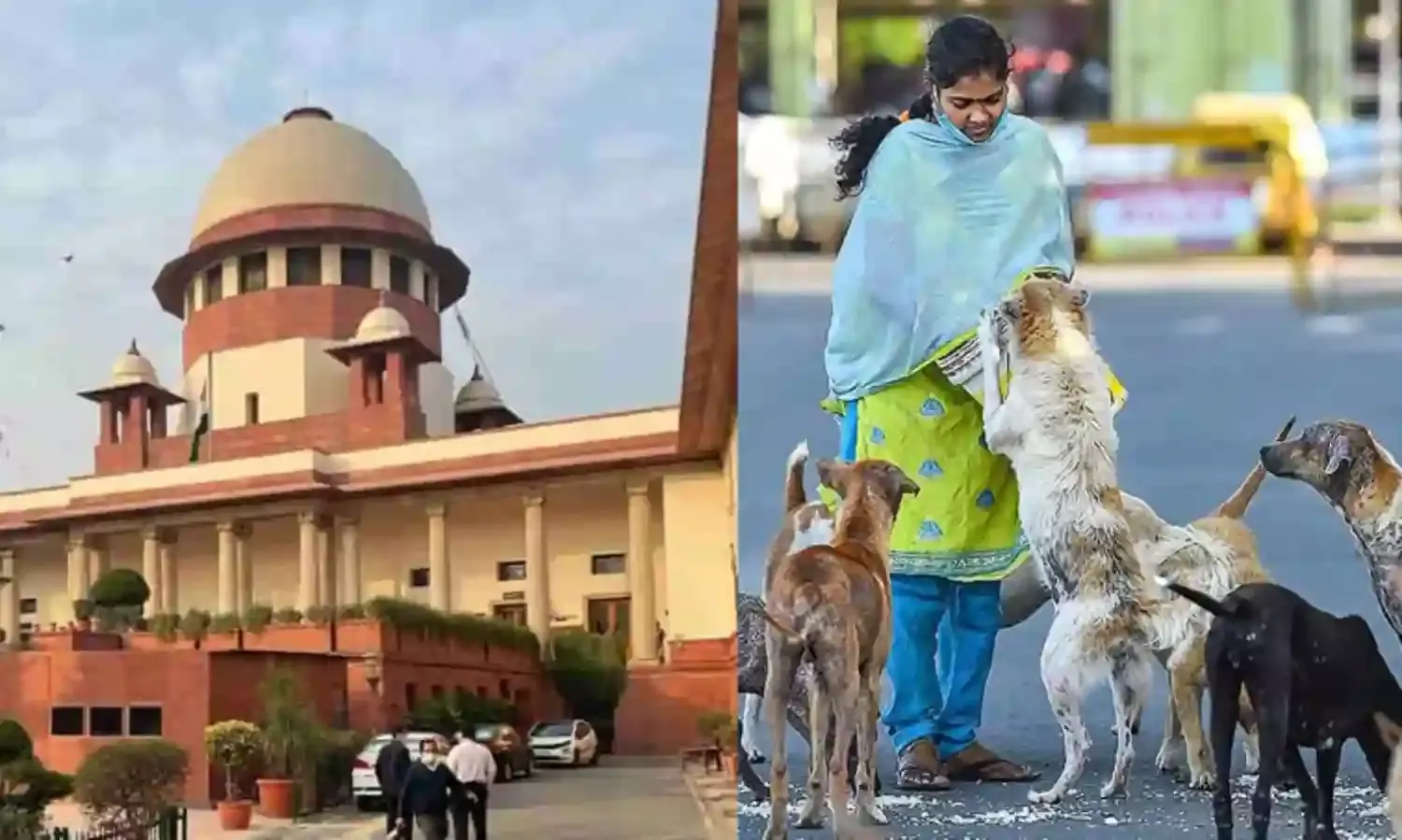 SC: వీధికుక్కల అంశంపై సుప్రీం ఆదేశాల సవరణ SC: వీధికుక్కల అంశంపై సుప్రీం ఆదేశాల సవరణ