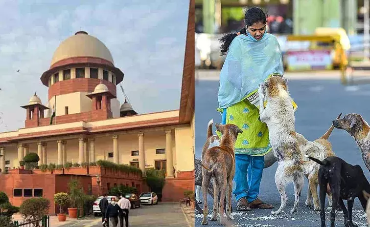 SC: వీధికుక్కల  అంశంపై సుప్రీం ఆదేశాల సవరణ SC: వీధికుక్కల  అంశంపై సుప్రీం ఆదేశాల సవరణ