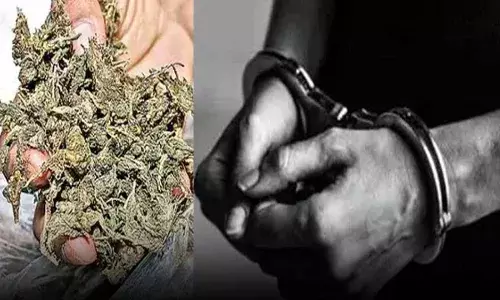 Nellore District : గంజాయి అక్రమ రవాణాపై ఉక్కుపాదం : డీఎస్పీ చెంచు బాబు Nellore District : గంజాయి అక్రమ రవాణాపై ఉక్కుపాదం : డీఎస్పీ చెంచు బాబు