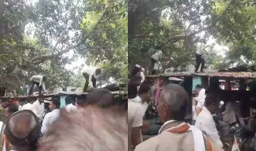 Uttar Pradesh: క్యాష్ బ్యాగ్ ఎత్తుకెళ్లి, నోట్లు వెదజల్లిన కోతి.. Uttar Pradesh: క్యాష్ బ్యాగ్ ఎత్తుకెళ్లి, నోట్లు వెదజల్లిన కోతి..