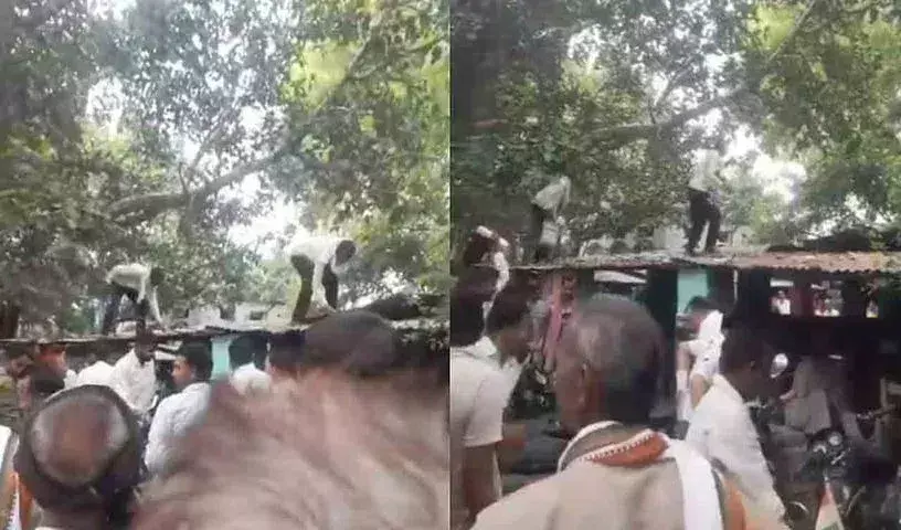 Uttar Pradesh: క్యాష్ బ్యాగ్ ఎత్తుకెళ్లి, నోట్లు వెదజల్లిన కోతి.. Uttar Pradesh: క్యాష్ బ్యాగ్ ఎత్తుకెళ్లి, నోట్లు వెదజల్లిన కోతి..
