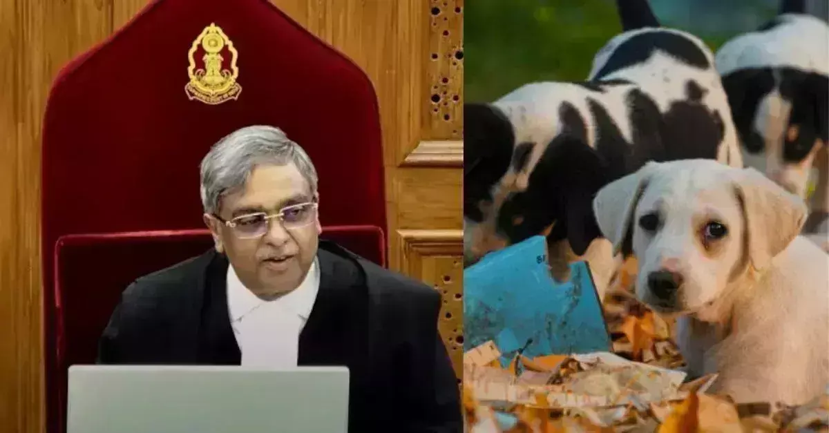 Justice Vikram Nath: వీధి కుక్కల కేసు.. నన్ను ఫేమస్ చేసింది Justice Vikram Nath: వీధి కుక్కల కేసు.. నన్ను ఫేమస్ చేసింది
