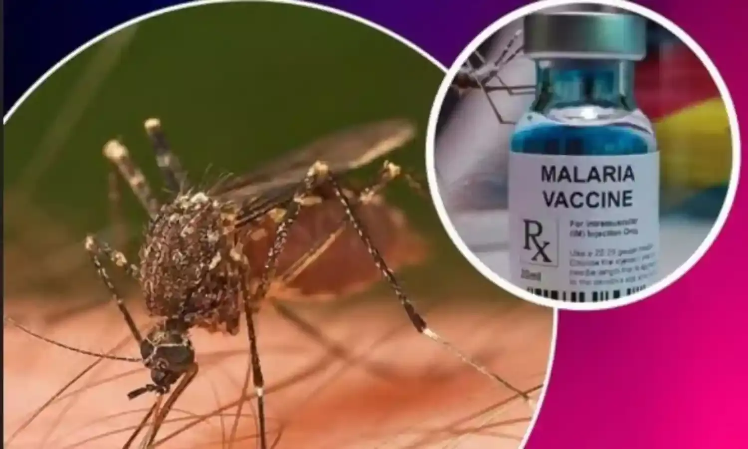 Malaria Vaccine: మొట్టమొదటి స్వదేశీ మలేరియా వ్యాక్సిన్ Malaria Vaccine: మొట్టమొదటి స్వదేశీ మలేరియా వ్యాక్సిన్