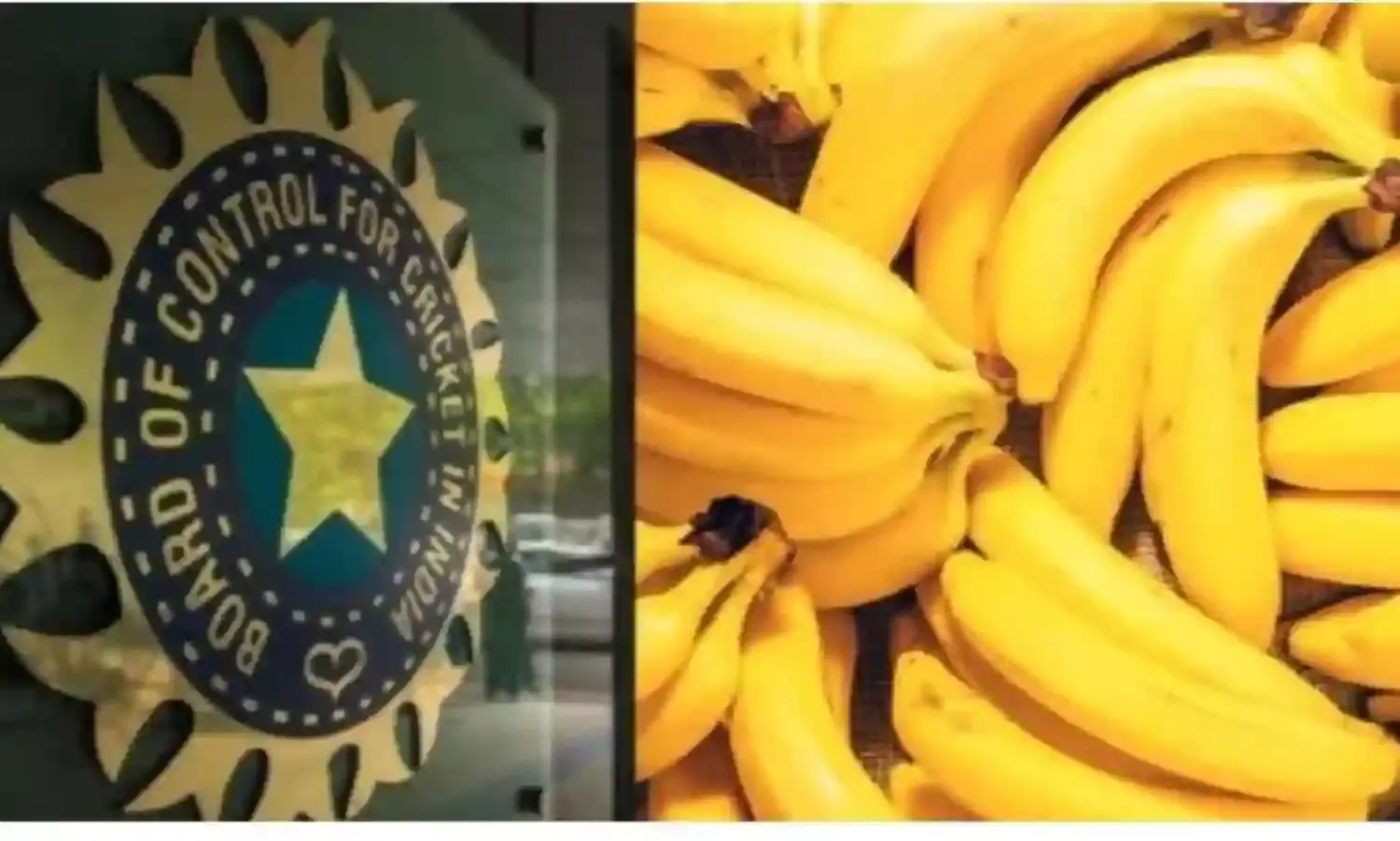 BANANA SCAM: బనానా స్కామ్తో బీసీసీఐకి షాక్ BANANA SCAM: బనానా స్కామ్తో బీసీసీఐకి షాక్