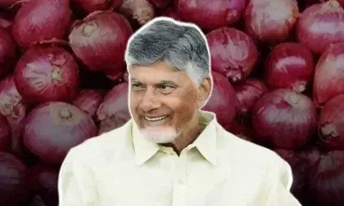 Chandrababu Naidu : ఉల్లి రైతులకు సీఎం చంద్రబాబు శుభవార్త Chandrababu Naidu : ఉల్లి రైతులకు సీఎం చంద్రబాబు శుభవార్త