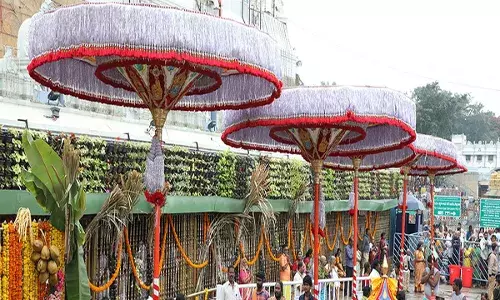 TTD : గొడుగుల ఊరేగింపులో భక్తులు కానుకలు ఇవ్వకండి : టీటీడీ